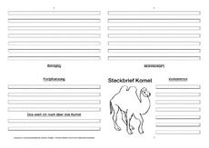 Kamel-Faltbuch-vierseitig-4.pdf